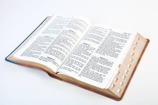 Rust and Stone Cross Barbour SKJV Large Print Bible