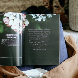 Between Grief and Glory- Lamentations Bible Study