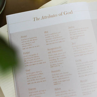 Delight Psalms 1-30 Bible Study