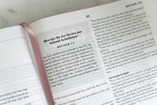 Light for Life NASB Study Bible- Blush Bouquet