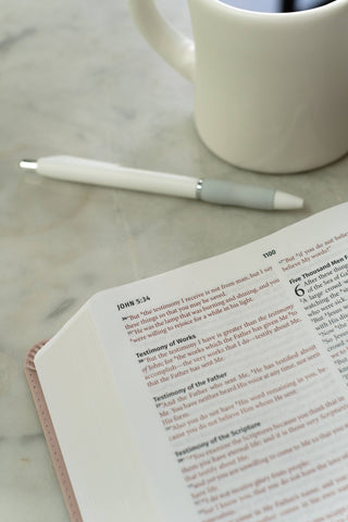 Light for Life NASB Study Bible- Blush Bouquet
