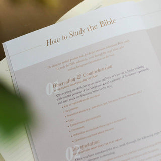 Delight Psalms 1-30 Bible Study