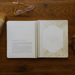 Revelation: The End of Time and the Eternal King Spiral Bound Bible Study