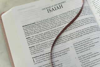 Light for Life NASB Study Bible- Blush Bouquet